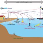 Europe harmonisiert Nutzung für Satelliten-LoRaWAN